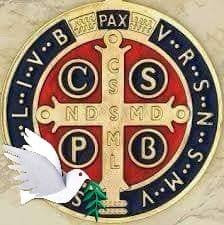 C. S. P. B. Crux Sancti Patris Benedecti Croce del Santo Padre Benedetto C. S. S. M. L. Crux Sacra Sit Mihi Lux Croce sacra sii la mia Luce N. D. S. M. D. Non draco sit mihi dux Che il dragone non sia il mio duce V. R. S. Vadre Retro satana Allontanati satana! N. S. M. V. Non Suade Mihi Vana Non mi persuaderai di cose vane S. M. Q. L. Sunt Mala Quae Libas Ciò che mi offri è cattivo I.V. B. Ipsa Venena Bibas Bevi tu stesso i tuoi veleni